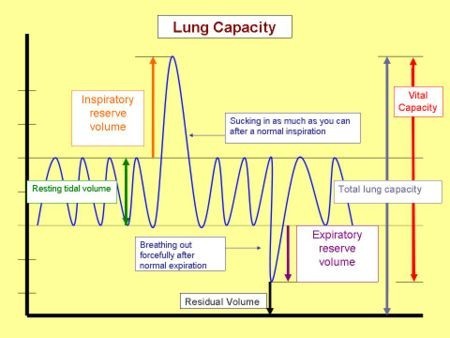 Tidal Volume Chart