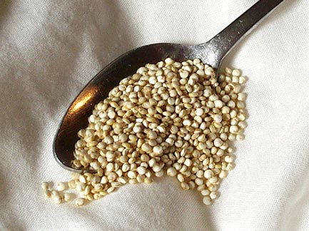 quinoa