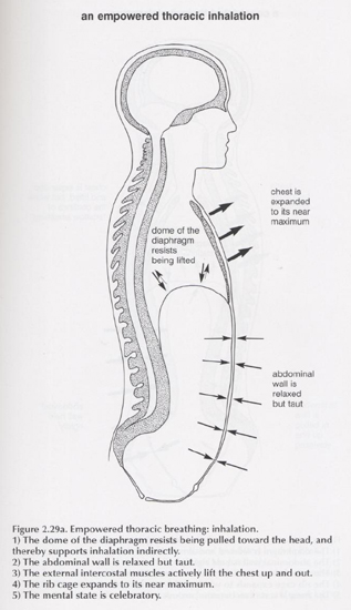 empowered thoracic breathing diagram