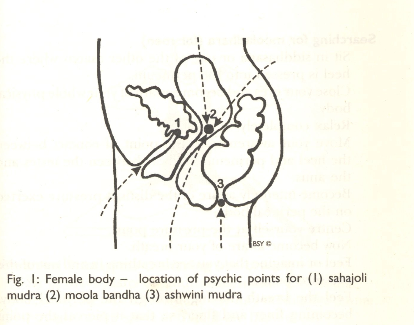 location of mooladhara for women