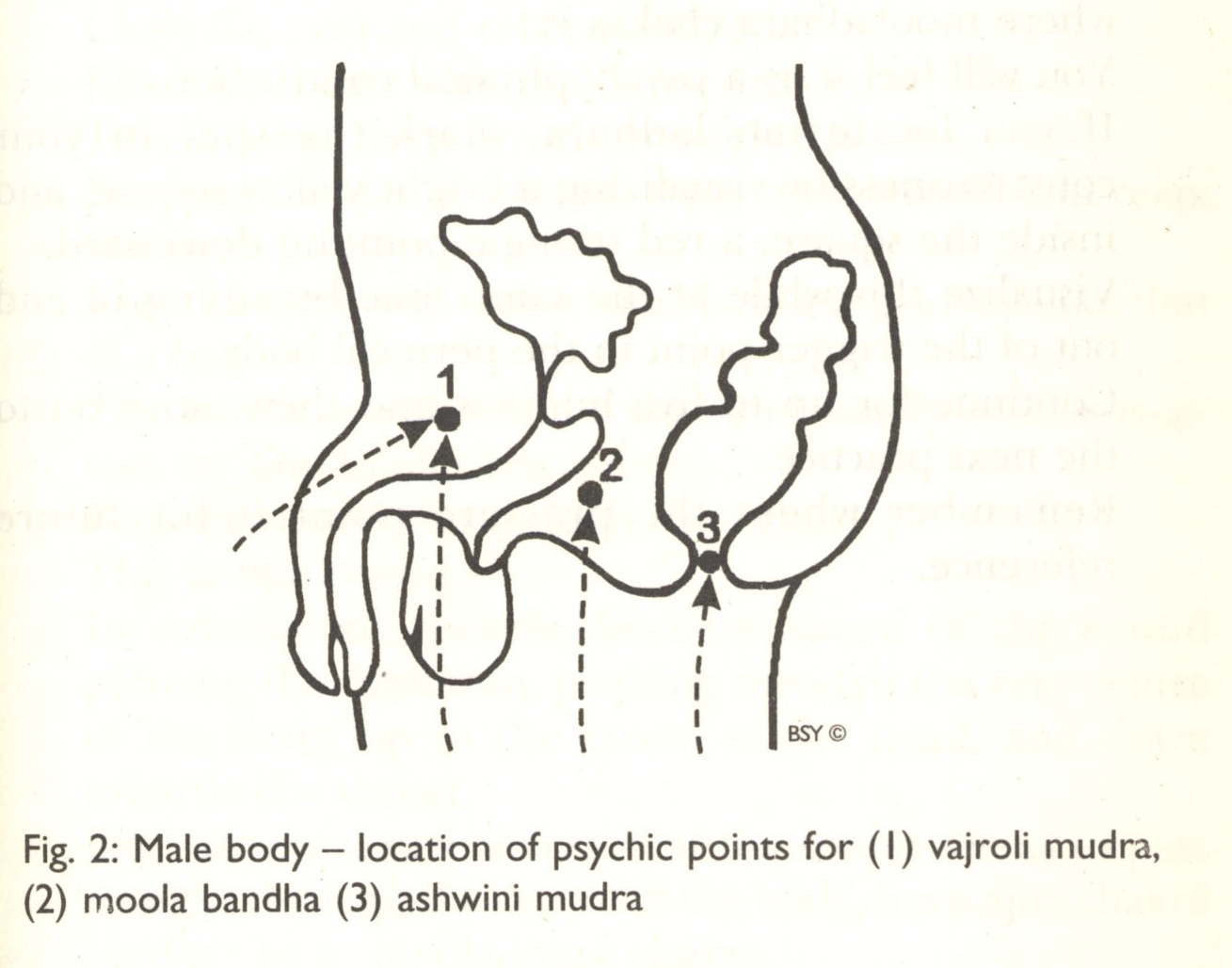 location of mooladhara for men